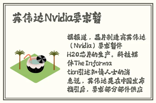 空降约会软件